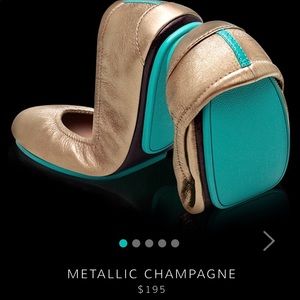 💕NEW IN THE BOX...METALLIC CHAMPAGNE🥂 TIEKS SZ 9